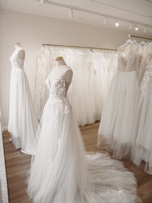 Über uns 3 img 7784